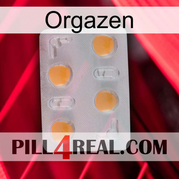 Orgazen 24.jpg